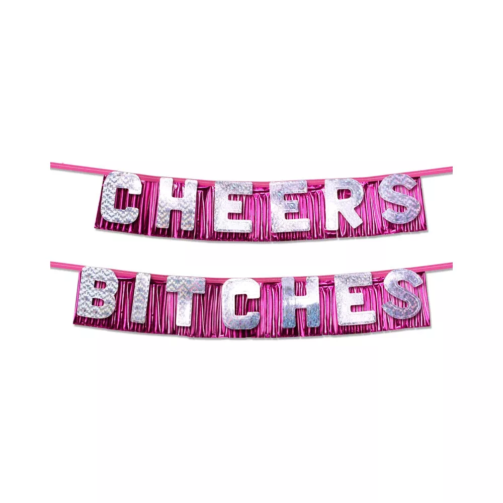 bachelorette-party-favors-cheers-bitches-party-banner Bachelorette Party Favors ''cheers Bitches'' Party Banner