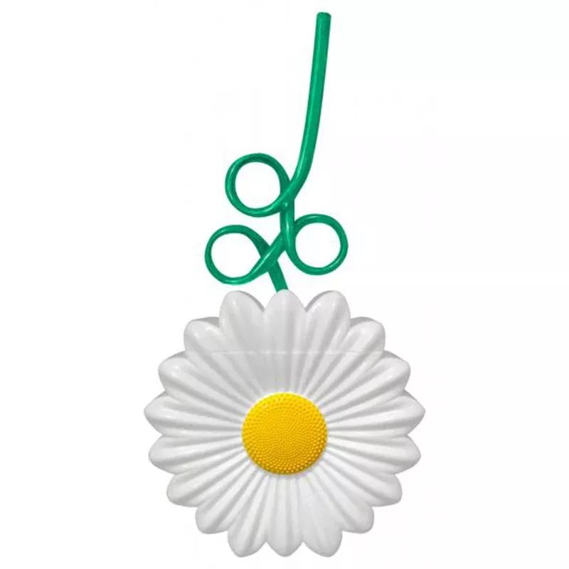 Daisy Cup