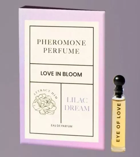 split-boy-short-2pk-aqua-black-with-lilac-dream-pheromone-l-xl Split Boy Short 2Pk Aqua/Black with Lilac Dream Pheromone L/XL